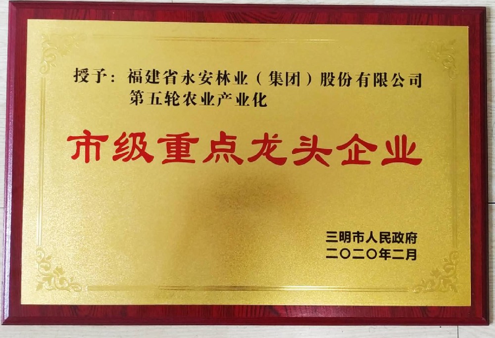 2020市級重點(diǎn)龍頭企業(yè)