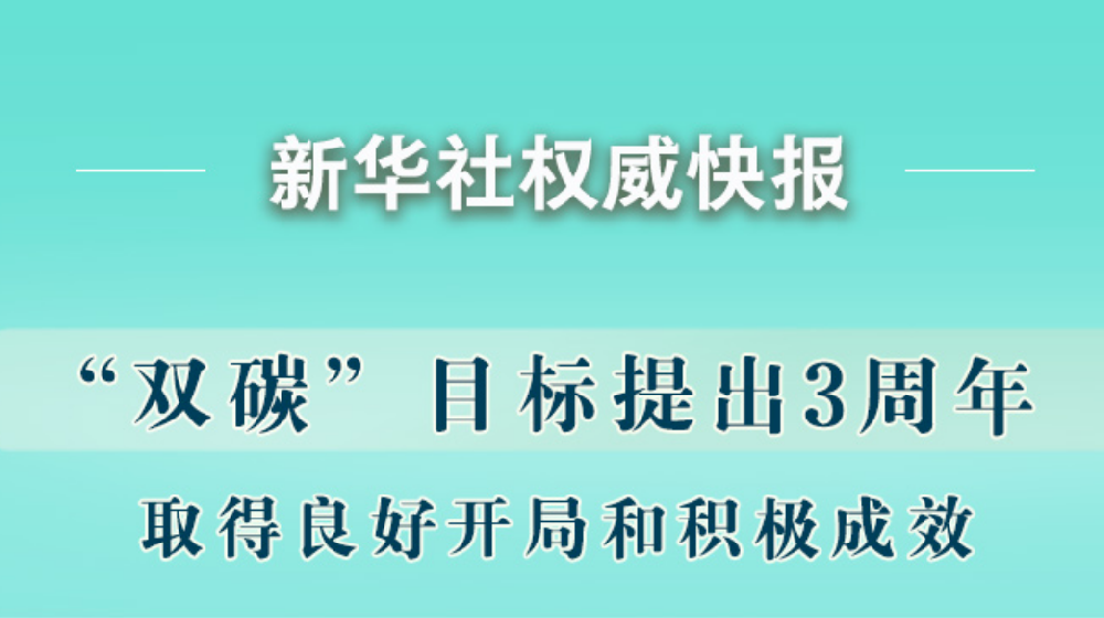 “雙碳”目標提出3周年取得積極成效