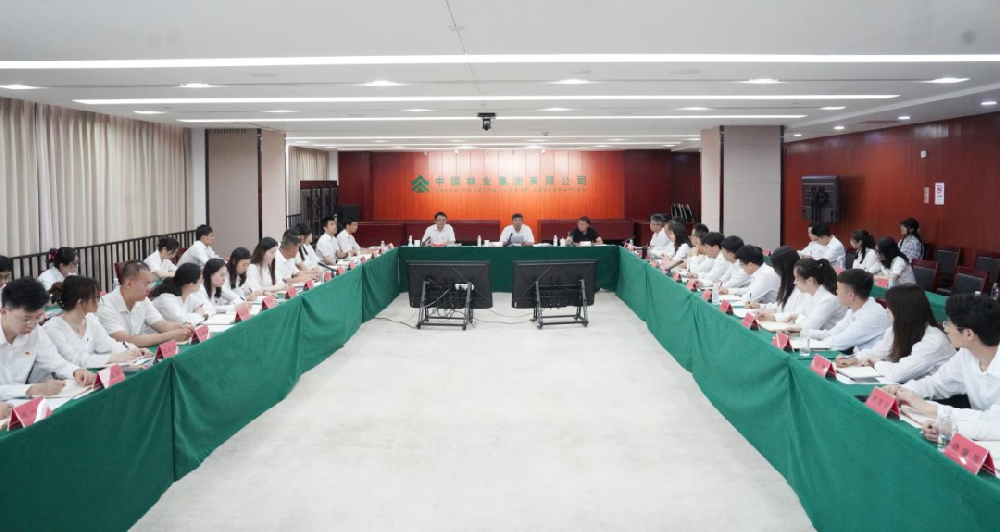 中國林業(yè)集團召開總部青年干部基層實踐活動第一批成果交流會暨第二批動員部署會