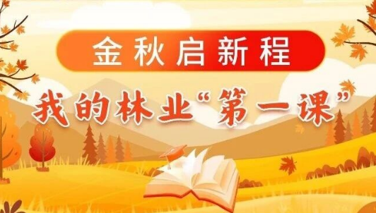 金秋啟新程，我的林業“第一課”（二）