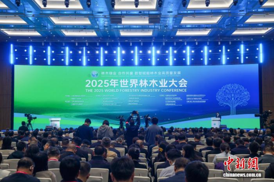 中國林業(yè)集團亮相2025年世界林木業(yè)大會 為生態(tài)文明建設提供“國家隊”實踐方案